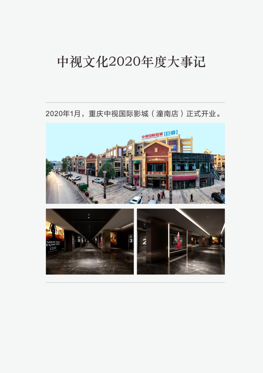 430508_2020_中视文化_2020年年度报告_2021-04-22.pdf_第2页