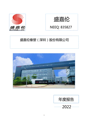 835827_2022_盛嘉伦_2022年年度报告_2023-04-26.pdf