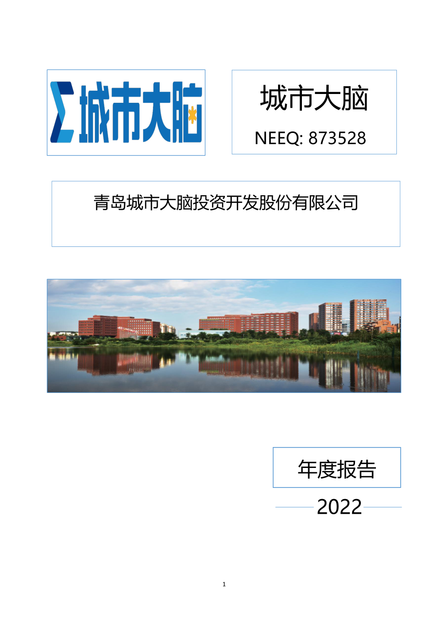 873528_2022_城市大脑_2022年年度报告_2023-04-27.pdf_第1页