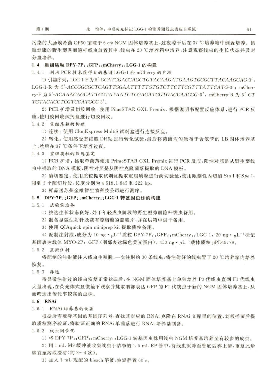 串联荧光标记LGG-1检测秀丽线虫表皮自噬流.pdf_第3页