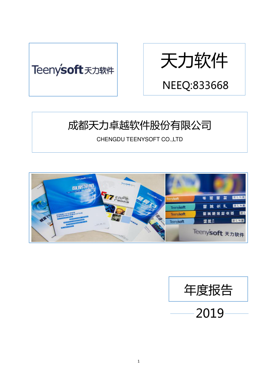 833668_2019_天力软件_2019年年度报告_2020-04-15.pdf_第1页