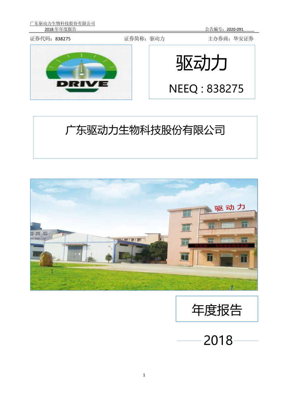 838275_2018_驱动力_2018年年度报告_2020-08-06.pdf_第1页