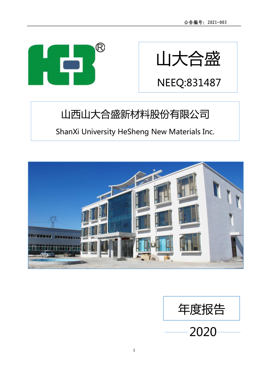 831487_2020_山大合盛_2020年年度报告_2021-04-11.pdf_第1页