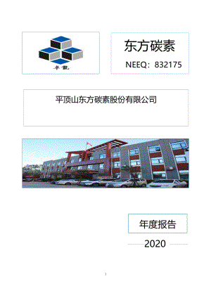 832175_2020_东方碳素_2020年年度报告_2022-04-28.pdf