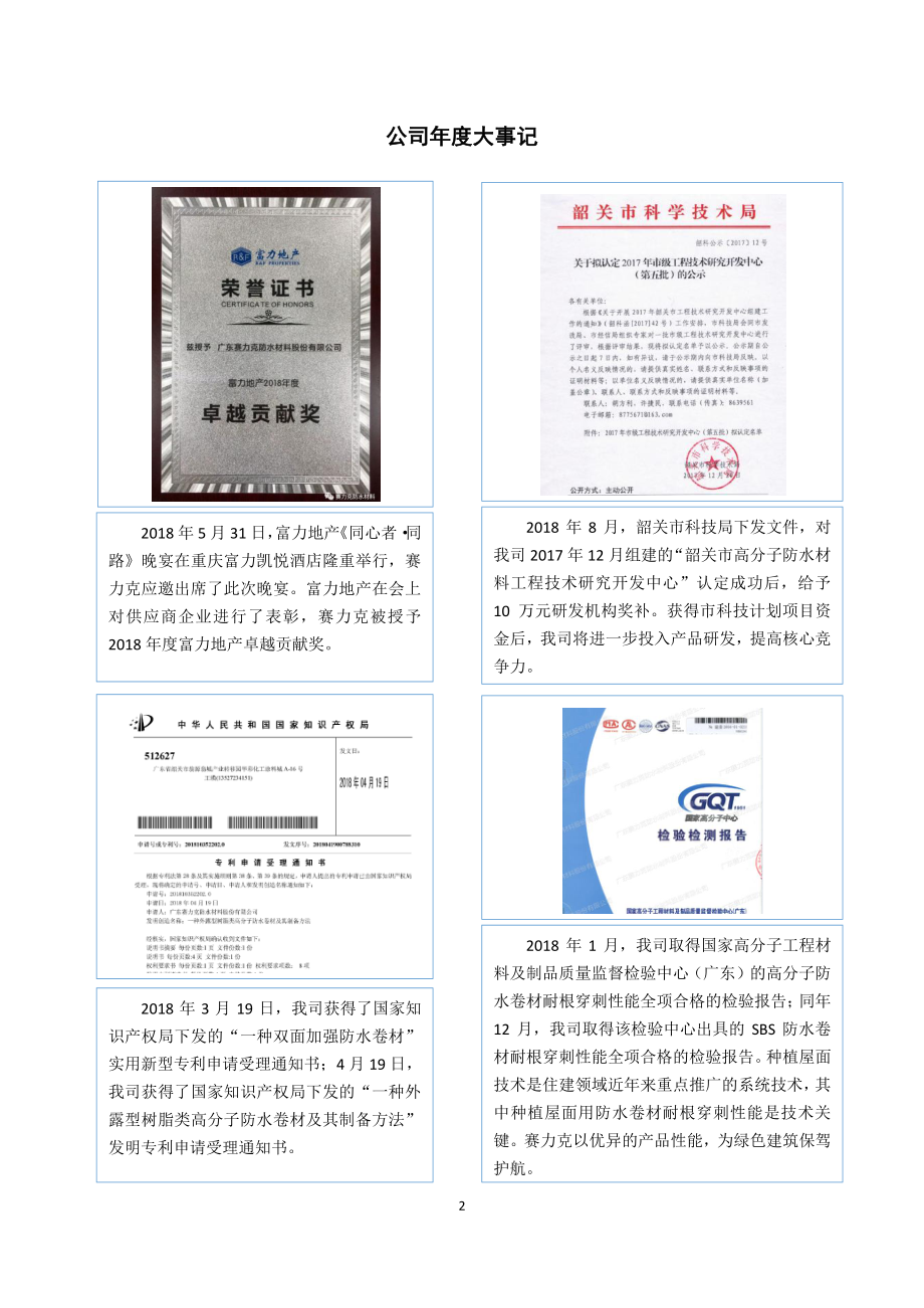 831594_2018_赛力克_2018年年度报告_2019-04-17.pdf_第2页