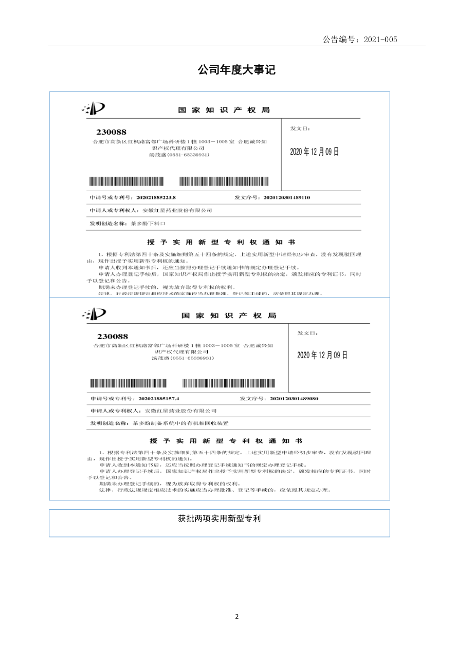 832045_2020_红星药业_2020年年度报告_2021-04-11.pdf_第2页