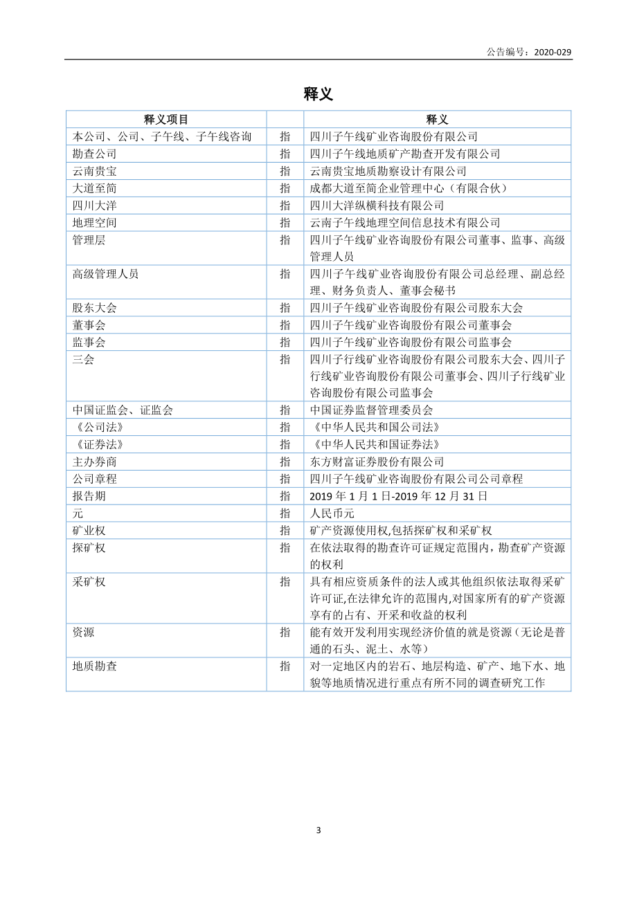 871353_2019_子午线_2019年年度报告_2020-06-18.pdf_第3页