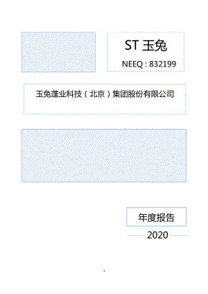 832199_2020_ST玉兔_2020年年度报告_2021-06-29.pdf