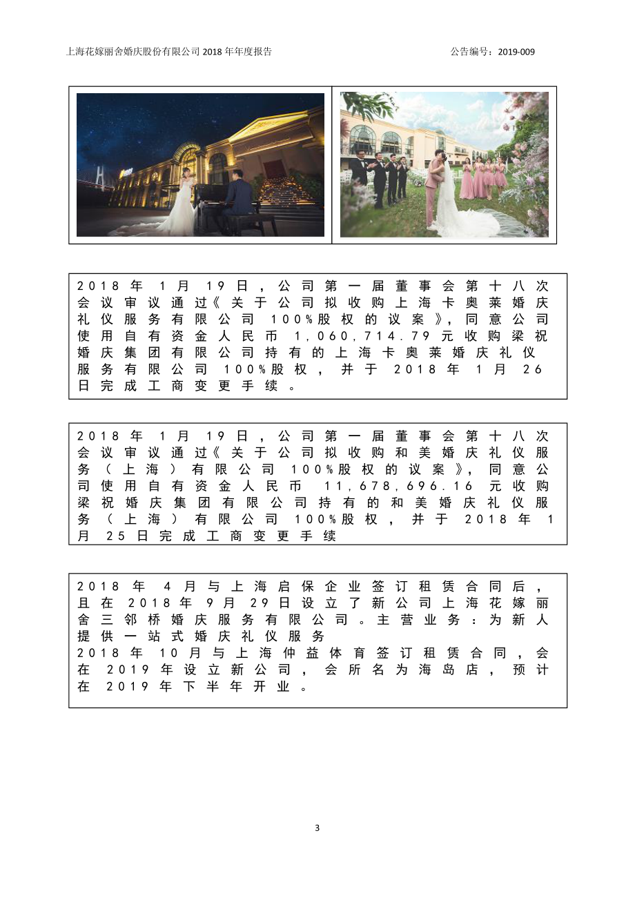 833503_2018_花嫁丽舍_2018年年度报告_2019-03-28.pdf_第3页