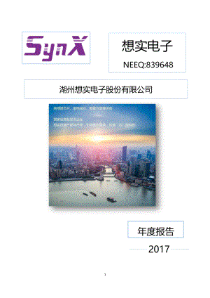 839648_2017_想实电子_2017年年度报告_2018-02-27.pdf