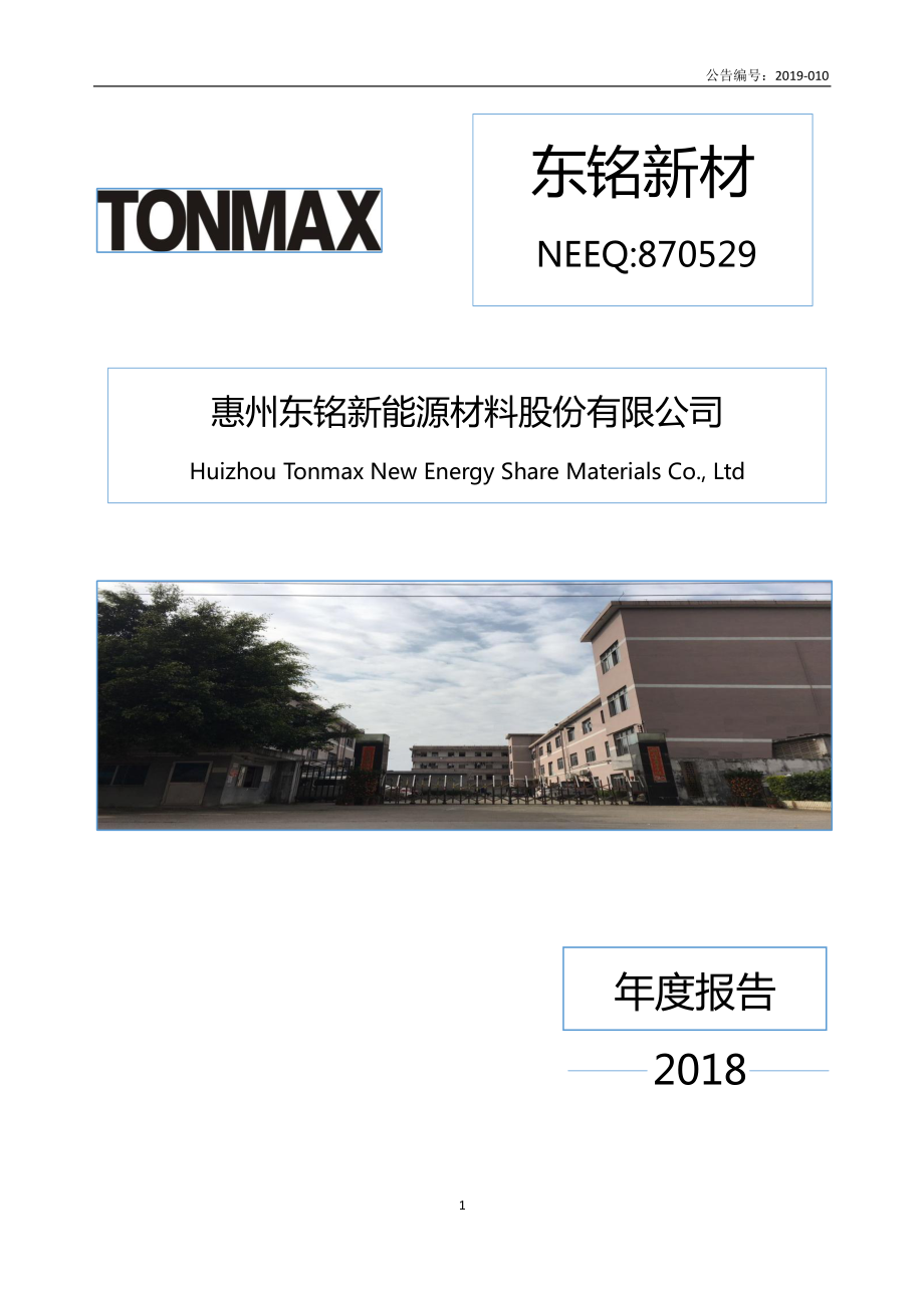 870529_2018_东铭新材_2018年年度报告_2019-04-28.pdf_第1页