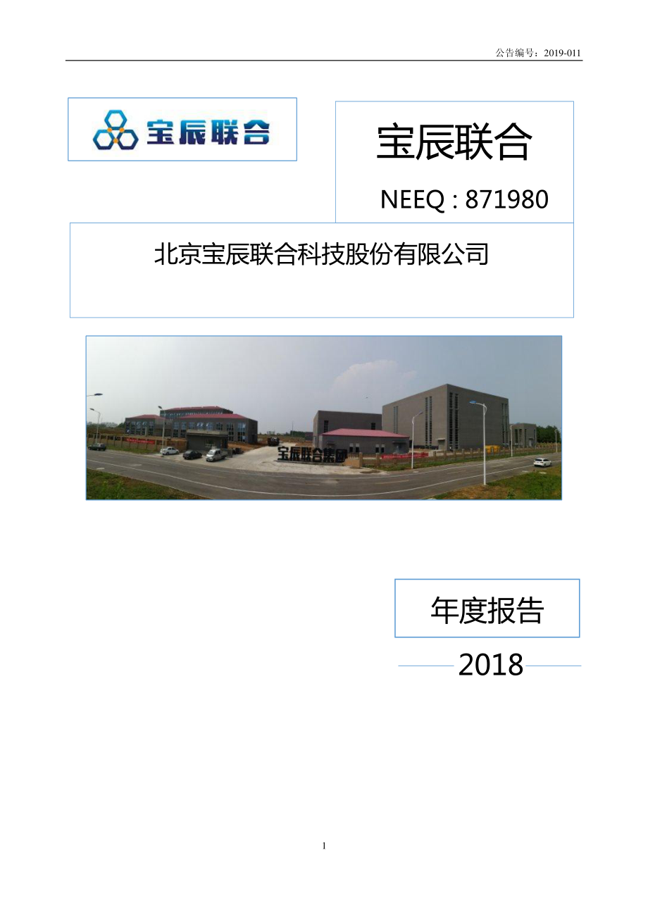 871980_2018_宝辰联合_2018年年度报告_2019-04-18.pdf_第1页