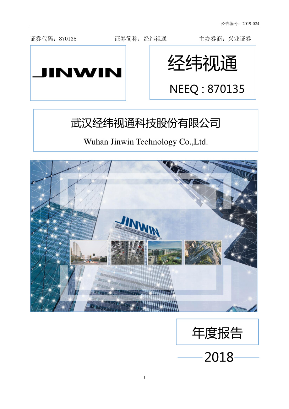 870135_2018_经纬视通_2018年年度报告_2019-04-22.pdf_第1页