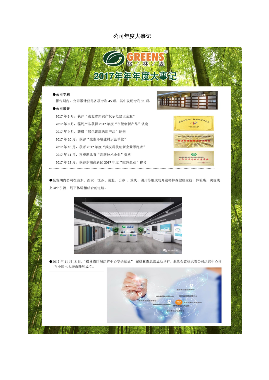 839868_2017_格林森_2017年年度报告_2018-04-24.pdf_第2页