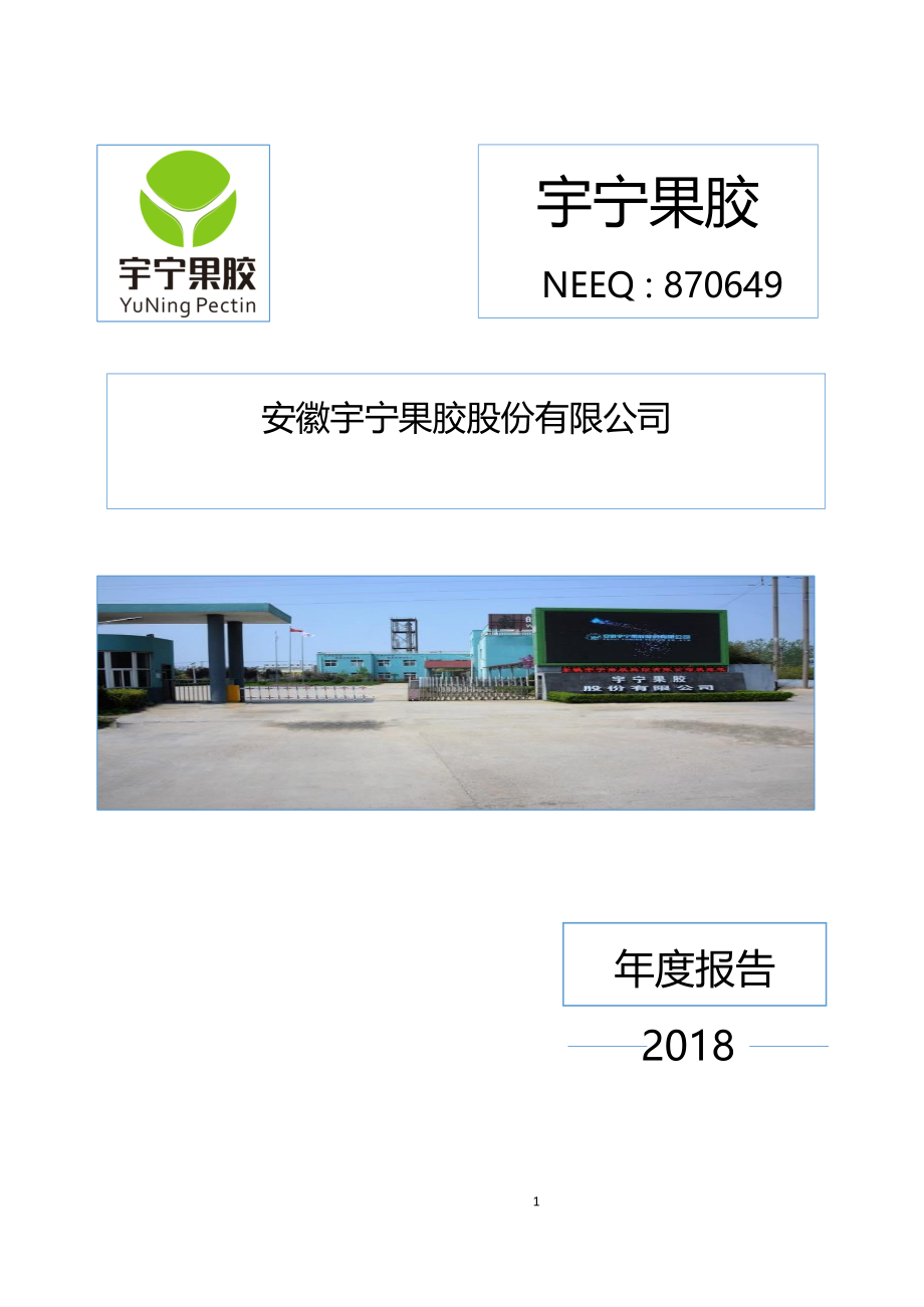 870649_2018_宇宁果胶_2018年年度报告_2019-06-26.pdf_第1页