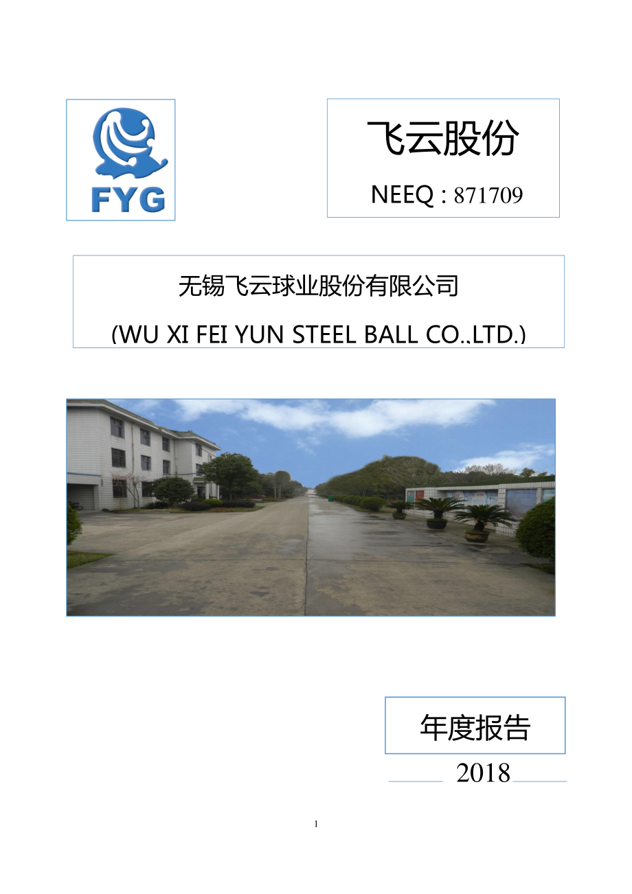 871709_2018_飞云股份_2018年年度报告_2019-04-16.pdf_第1页