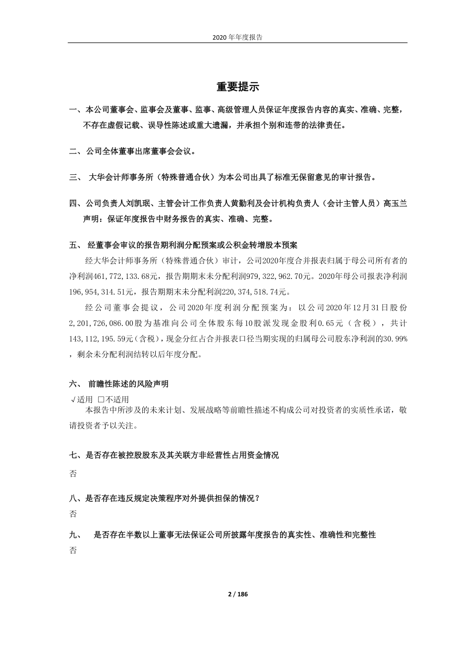 601388_2020_怡球资源_601388_2020年_年度报告_合并报告_2021-04-12.pdf_第2页