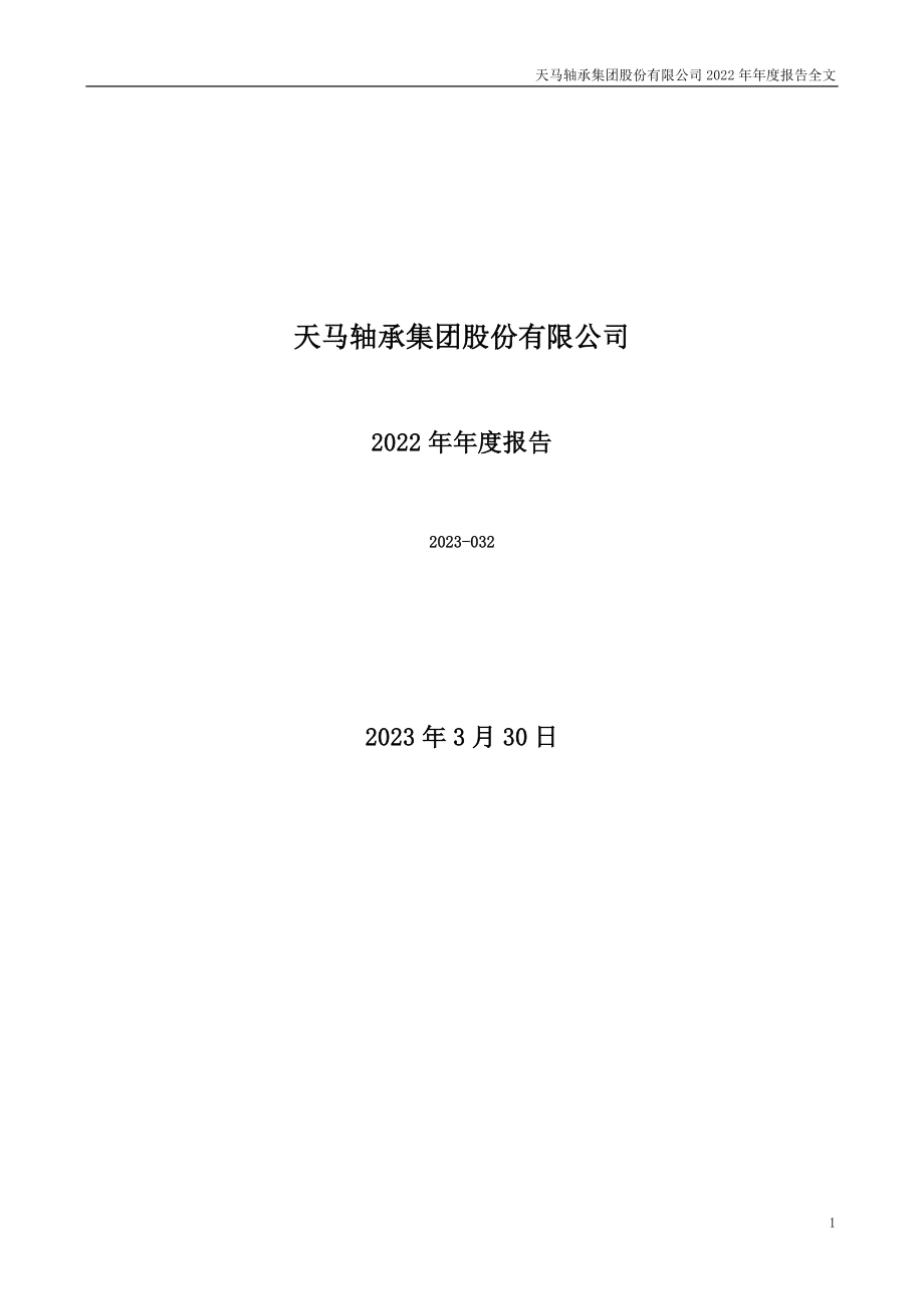 002122_2022_天马股份_2022年年度报告_2023-03-29.pdf_第1页