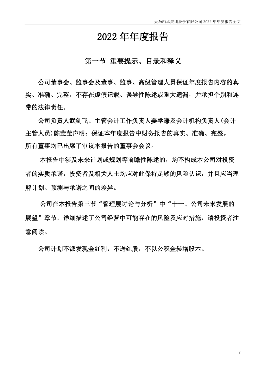 002122_2022_天马股份_2022年年度报告_2023-03-29.pdf_第2页