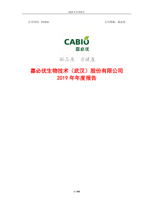 688089_2019_嘉必优_2019年年度报告_2020-04-29.pdf