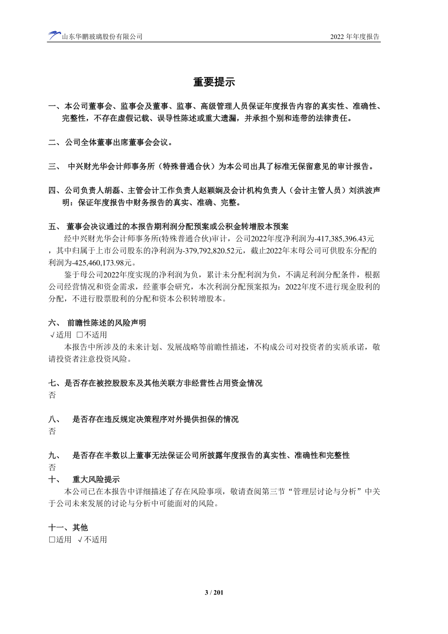 603021_2022_山东华鹏_山东华鹏2022年年度报告_2023-02-27.pdf_第3页