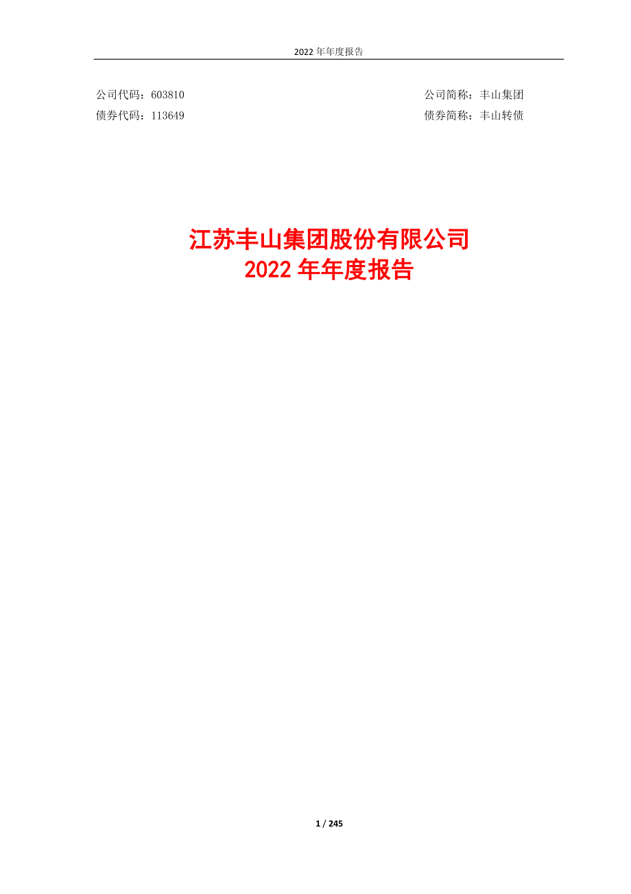 603810_2022_丰山集团_2022年年度报告_2023-04-28.pdf_第1页