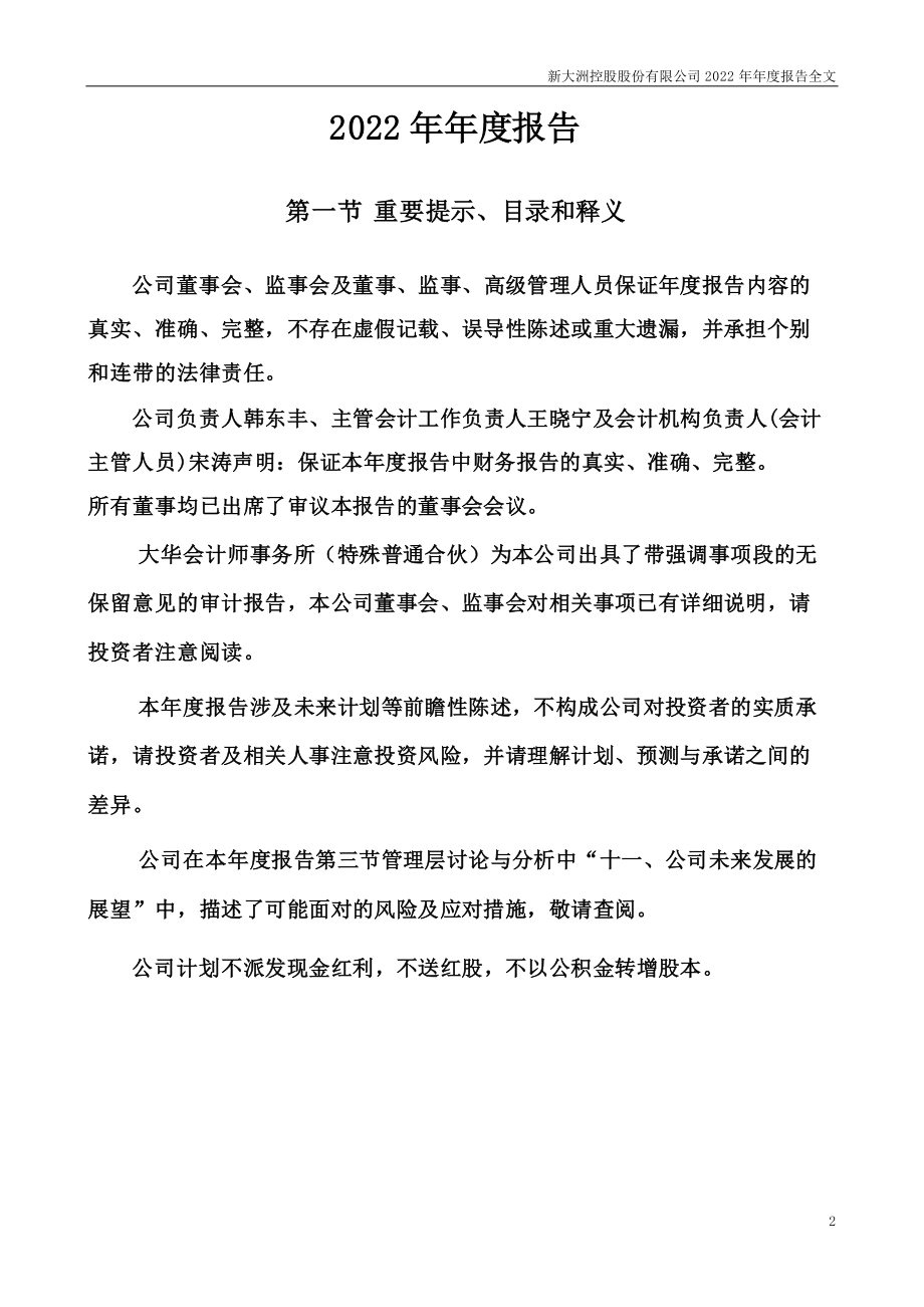 000571_2022_ST大洲_2022年年度报告_2023-04-28.pdf_第2页