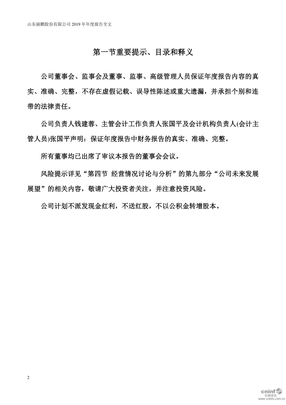 002374_2019_丽鹏股份_2019年年度报告_2020-04-14.pdf_第2页