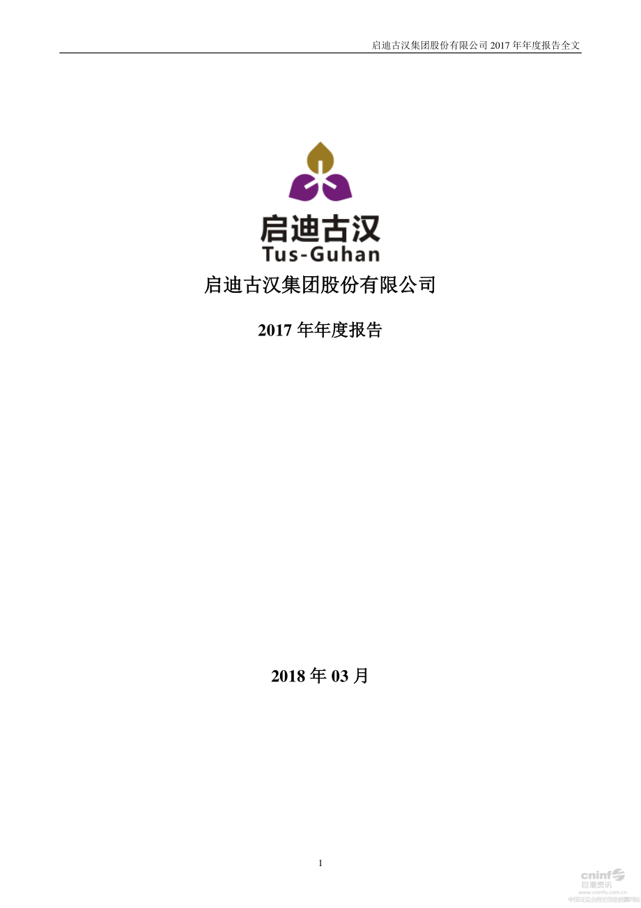 000590_2017_启迪古汉_2017年年度报告（更新后）_2018-05-09.pdf_第1页