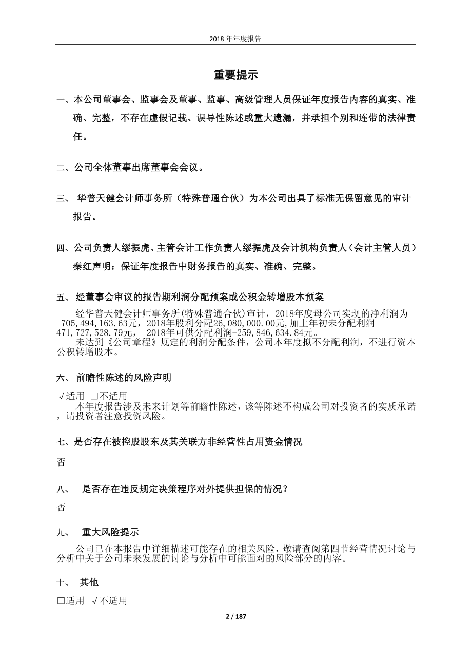 600470_2018_六国化工_2018年年度报告（修订版）_2019-04-15.pdf_第2页