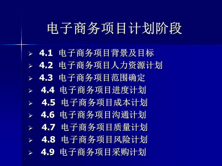 电子商务项目计划阶段.ppt_第1页