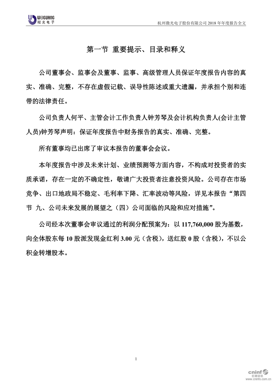 002801_2018_微光股份_2018年年度报告_2019-03-19.pdf_第2页