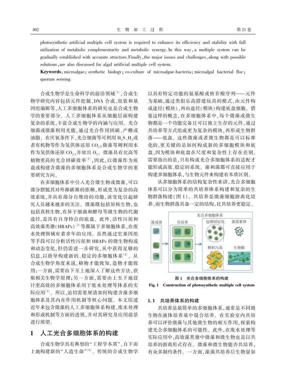 含藻人工多细胞体系的构建及其在废水处理中的应用.pdf_第2页