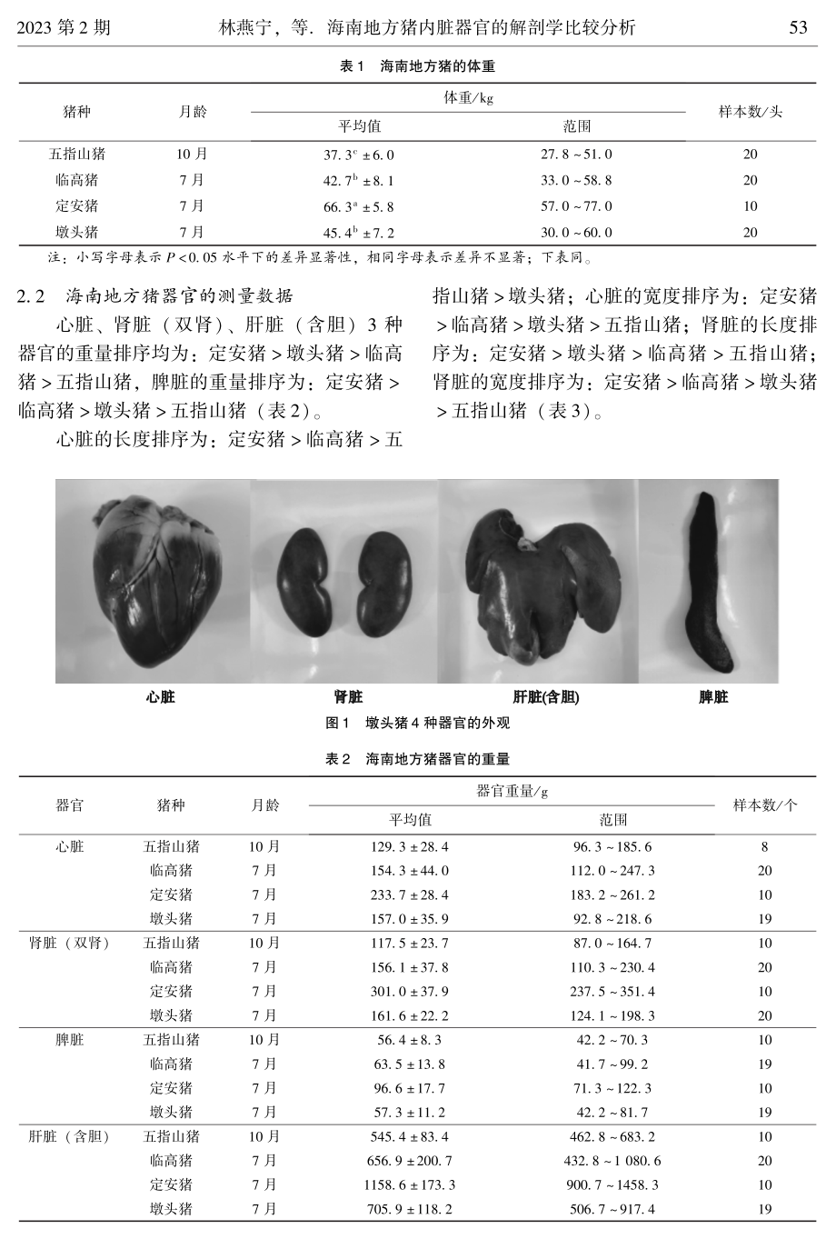 海南地方猪内脏器官的解剖学比较分析.pdf_第3页