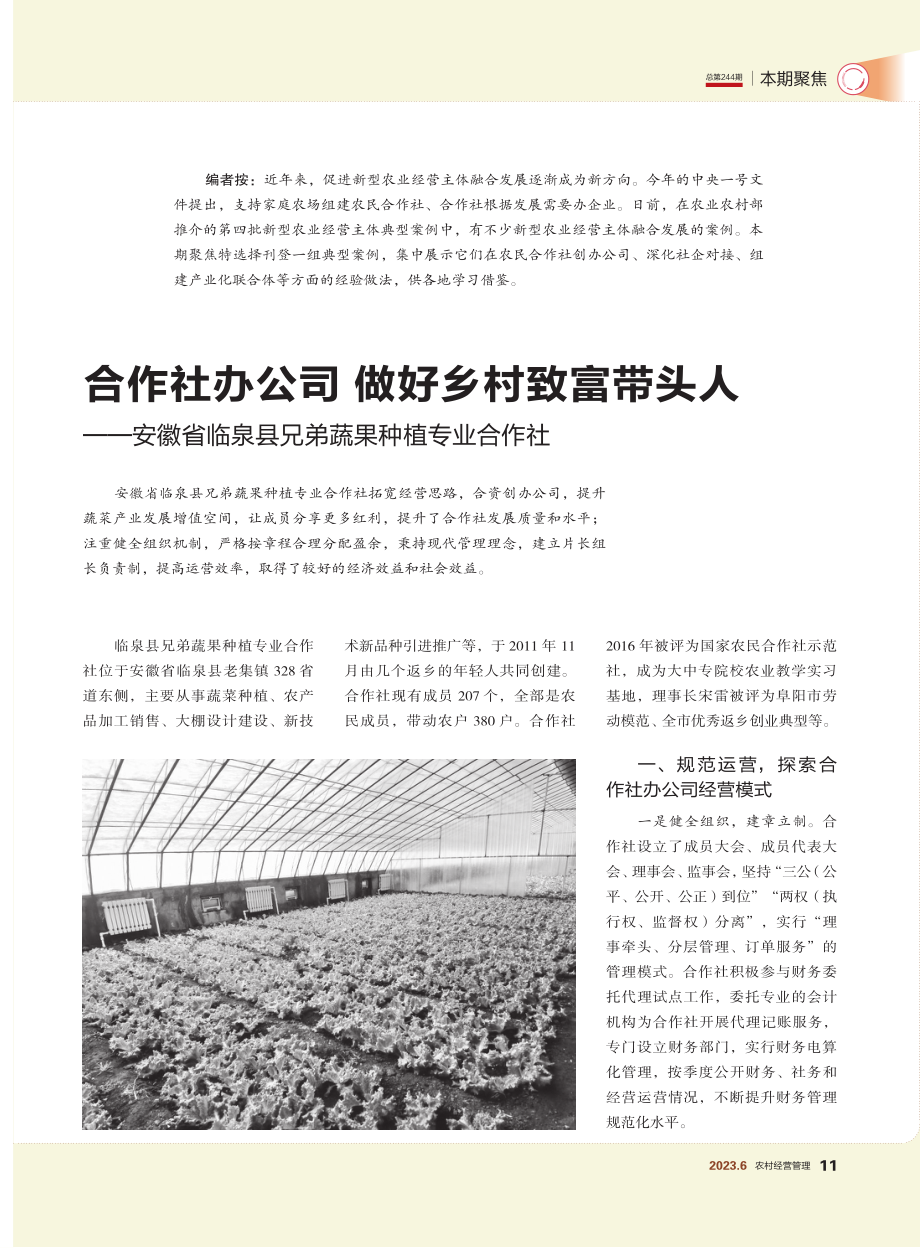 合作社办公司 做好乡村致富带头人——安徽省临泉县兄弟蔬果种植专业合作社.pdf_第1页