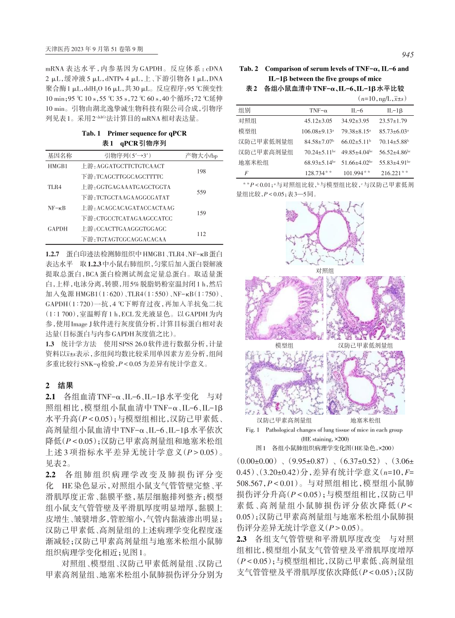 汉防己甲素对支气管哮喘小鼠气道重塑的影响及机制探讨.pdf_第3页