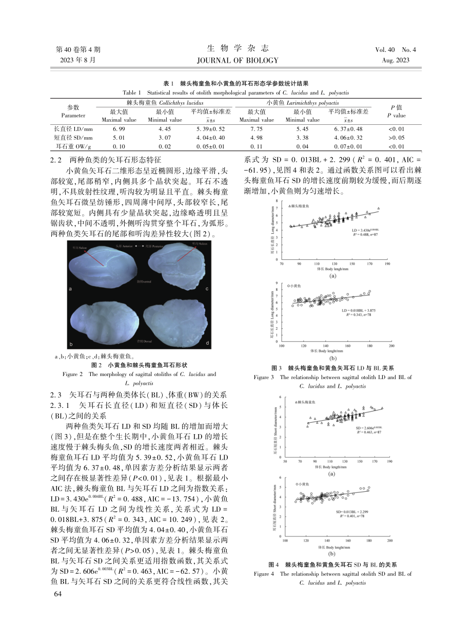 海州湾海洋牧场区两种石首鱼科鱼类耳石形态特征与生长特性.pdf_第3页