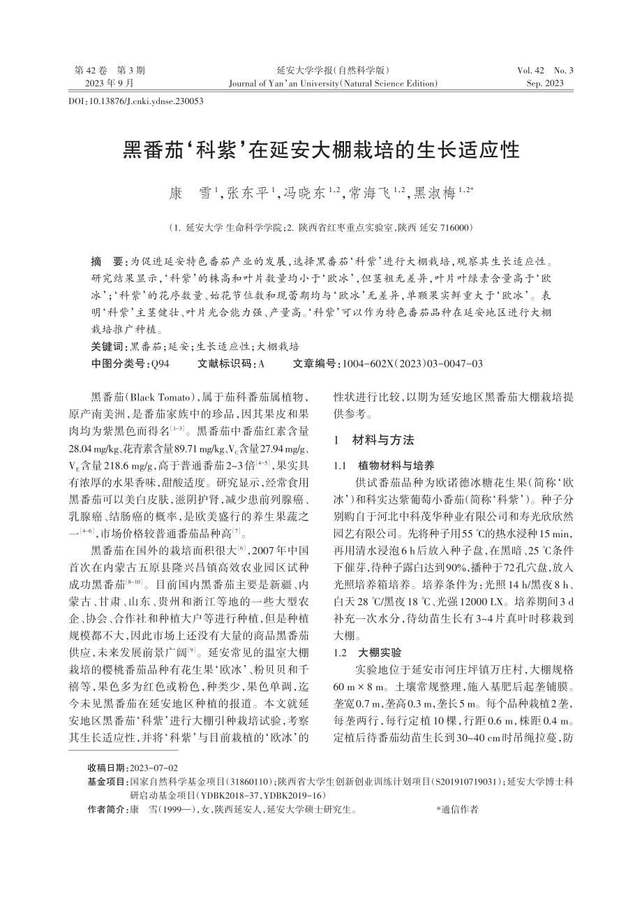 黑番茄‘科紫’在延安大棚栽培的生长适应性.pdf_第1页