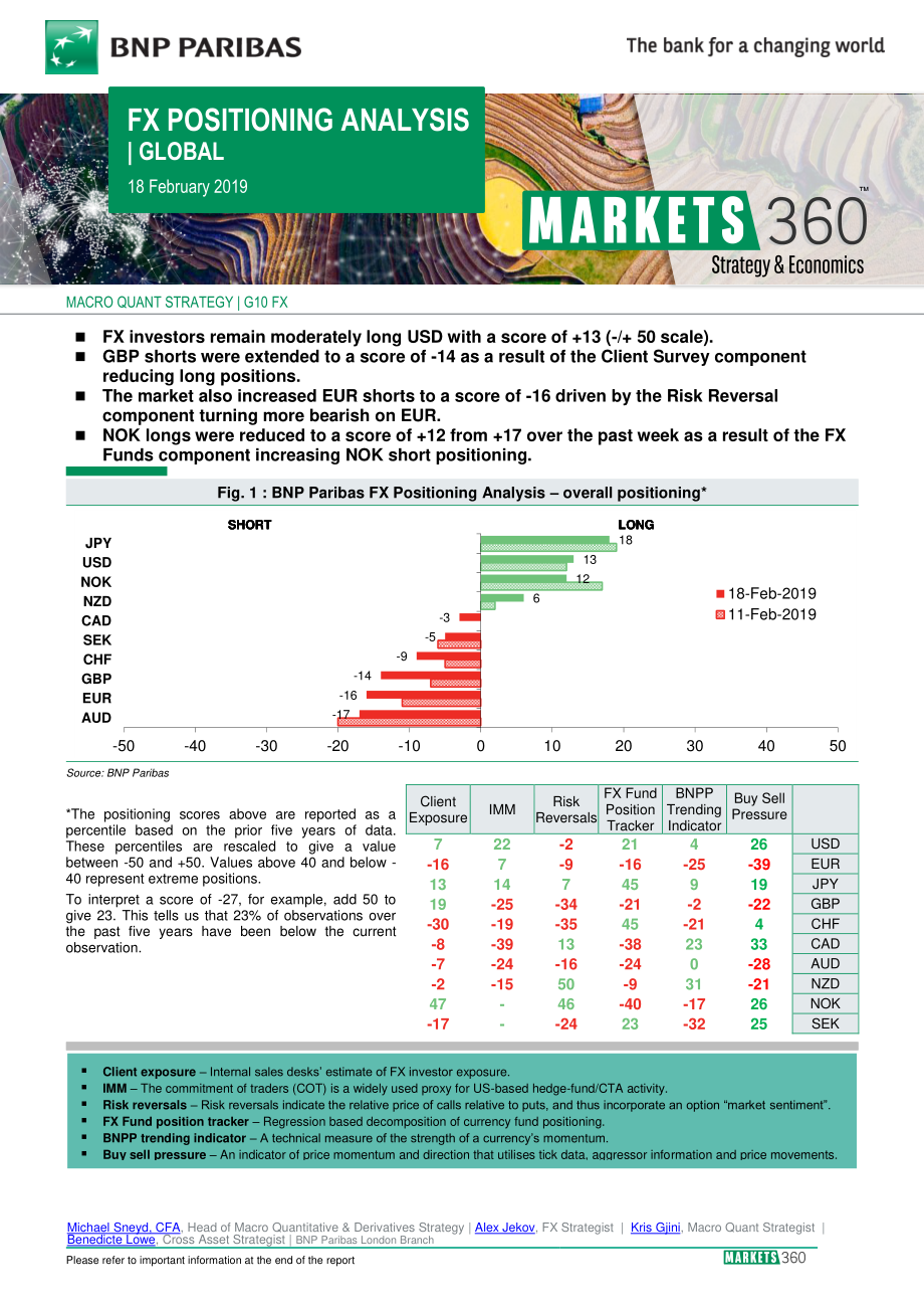 巴黎银行-全球-外汇策略-全球外汇定位分析-20190218-13页.pdf_第1页