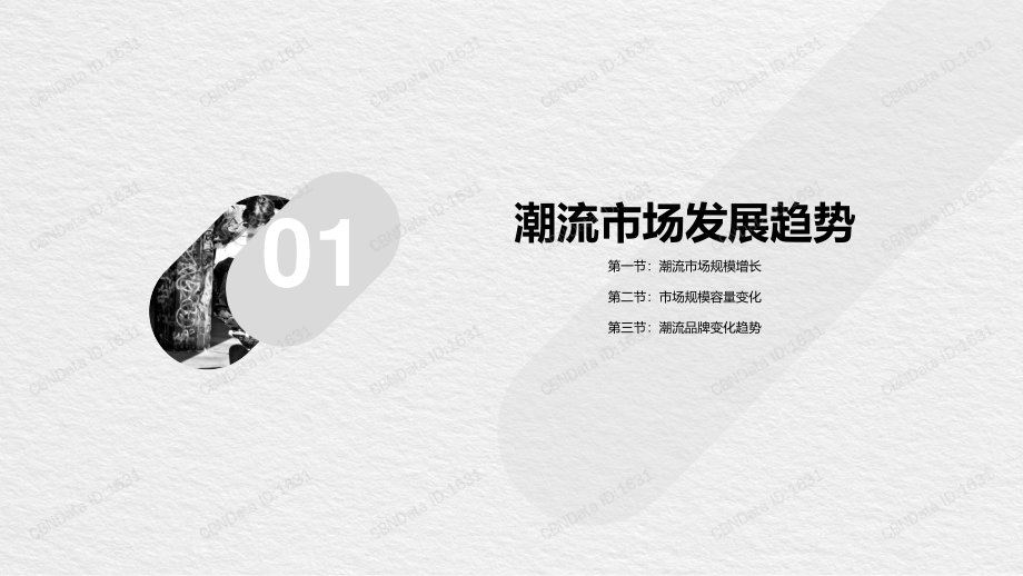 CBNData-潮流文化发展白皮书(服装)-2019.4-39页.pdf_第3页