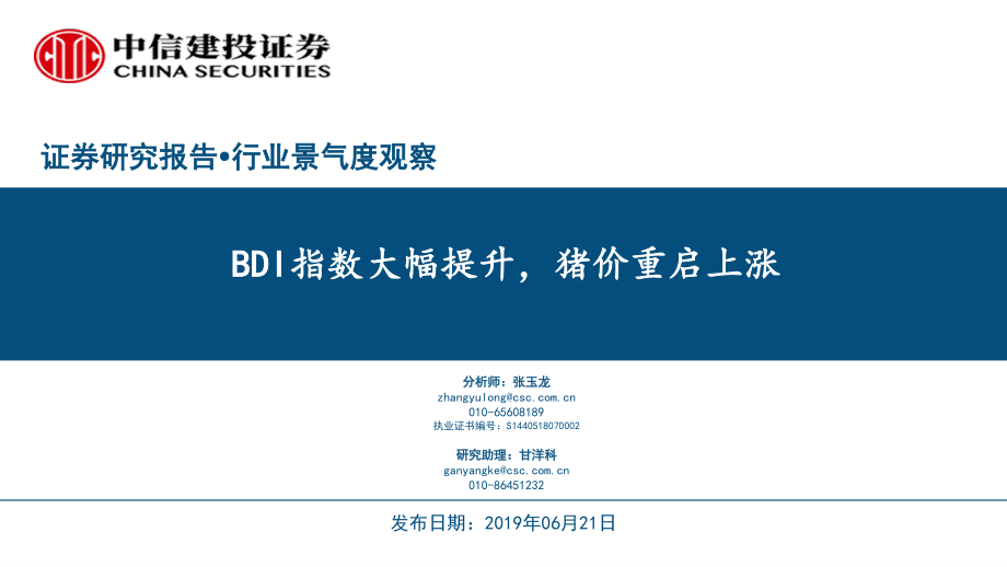 行业景气度观察：BDI指数大幅提升猪价重启上涨-20190621-中信建投-39页.pdf_第1页