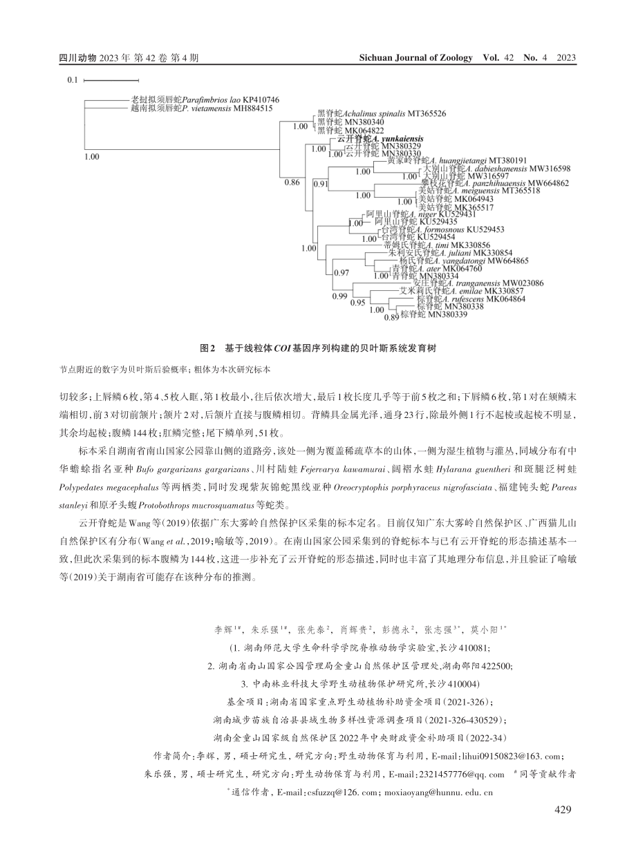 湖南省蛇类新记录——云开脊蛇.pdf_第2页