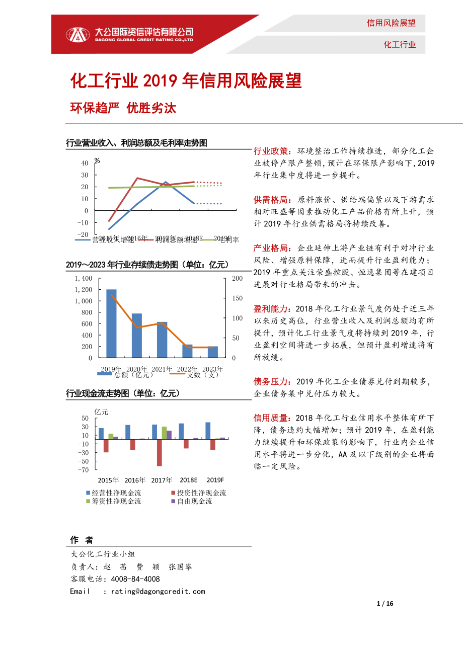 大公国际-化工行业2019年信用风险展望-2019.1-16页.pdf_第1页