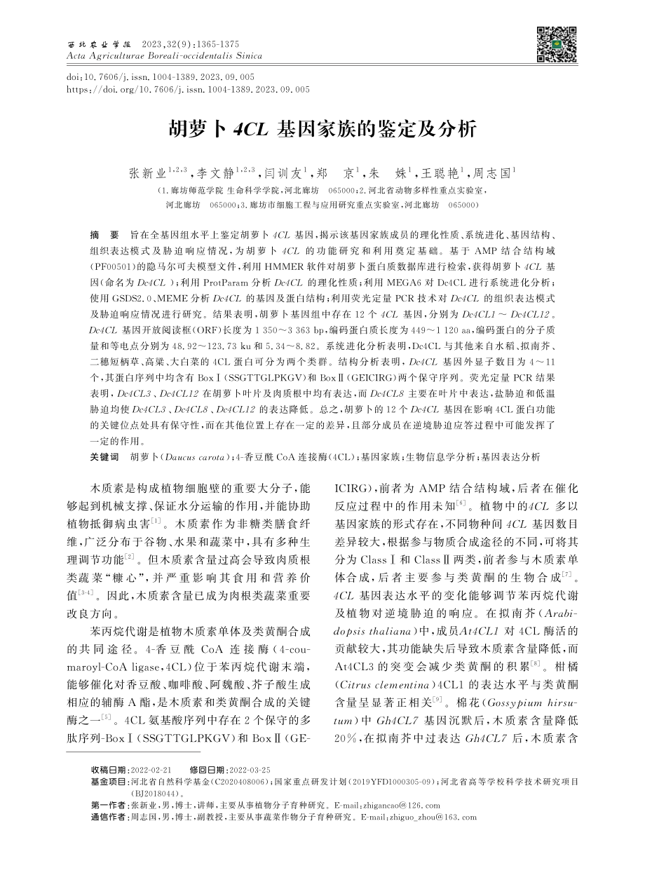 胡萝卜4CL基因家族的鉴定及分析.pdf_第1页