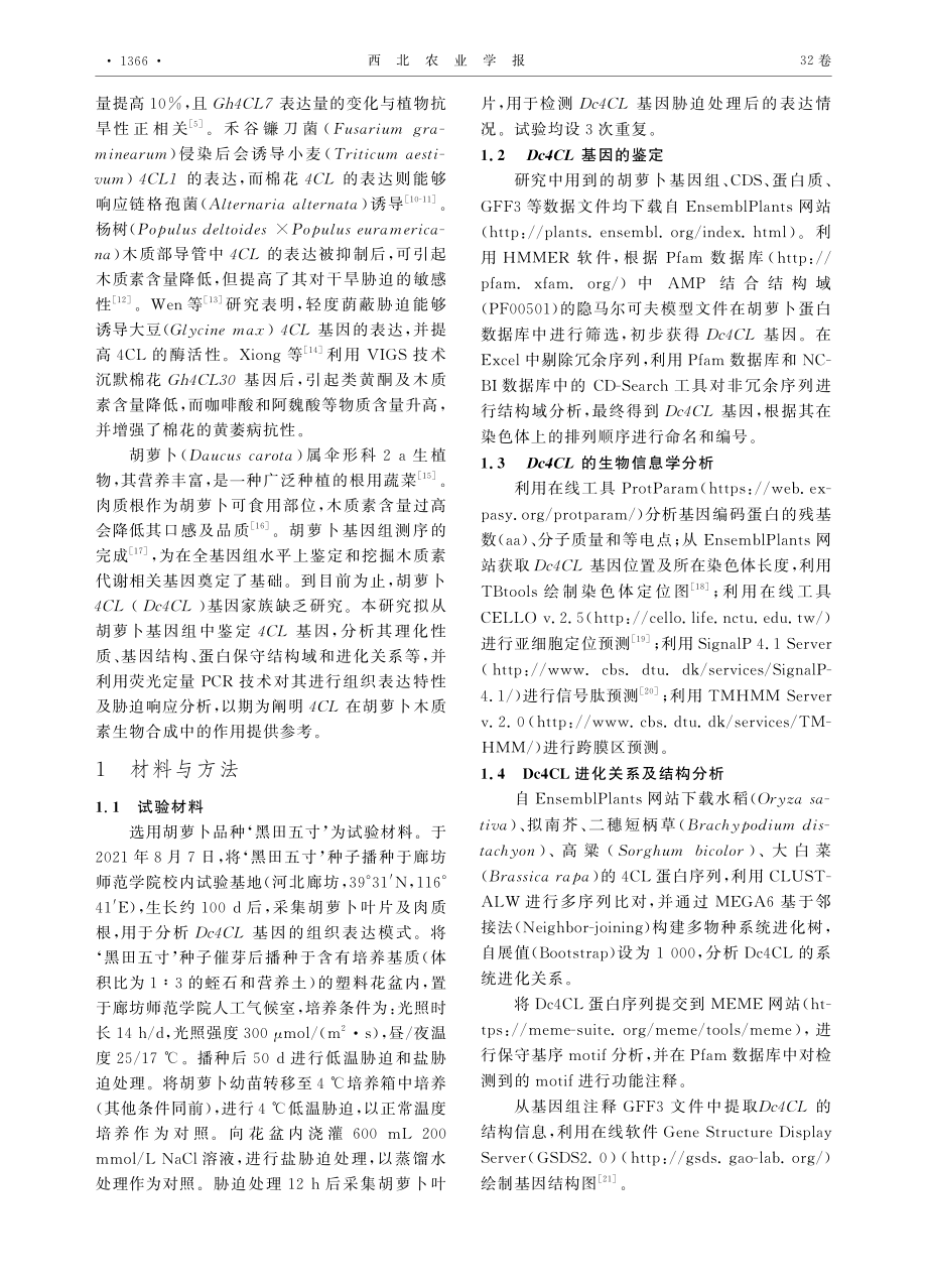 胡萝卜4CL基因家族的鉴定及分析.pdf_第2页