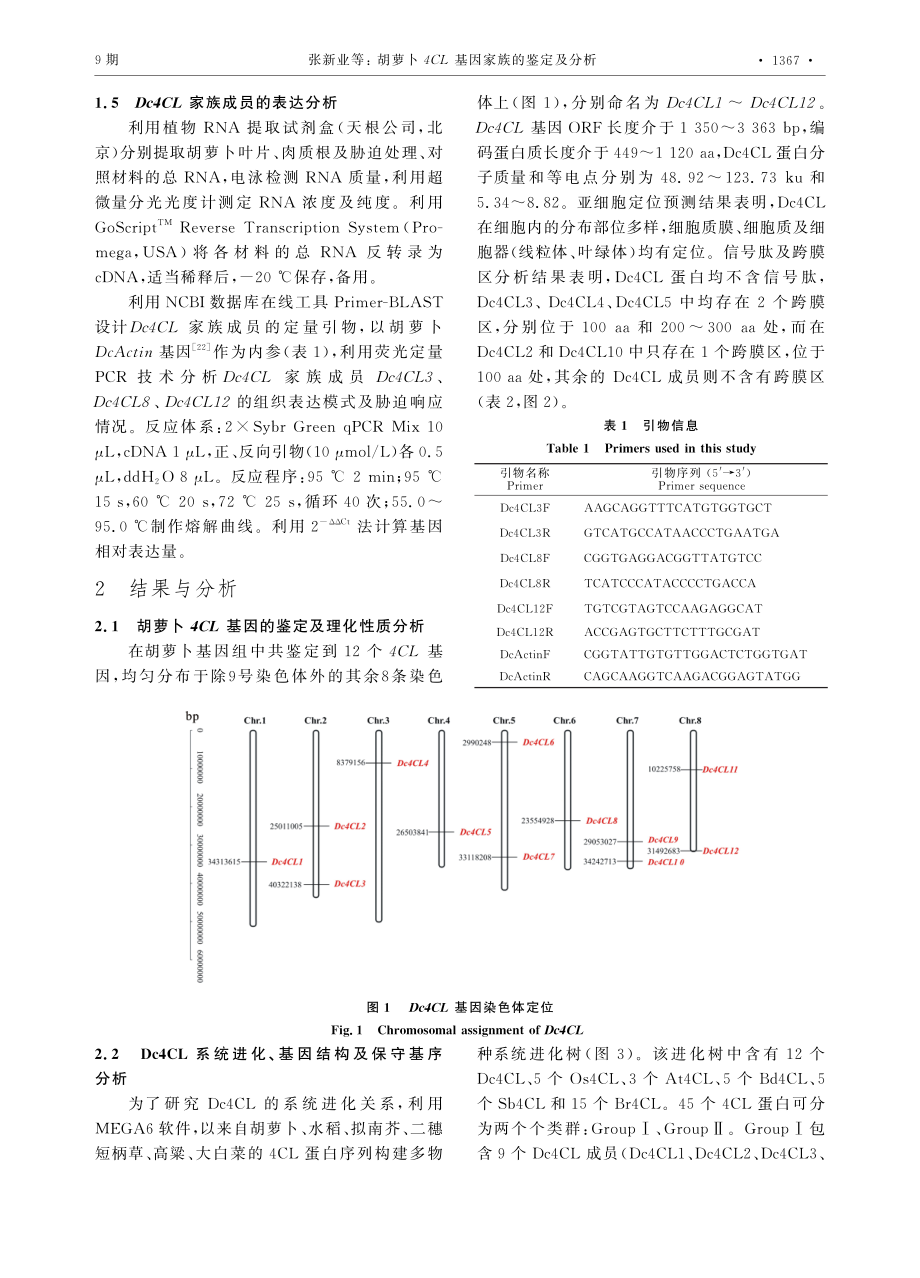 胡萝卜4CL基因家族的鉴定及分析.pdf_第3页