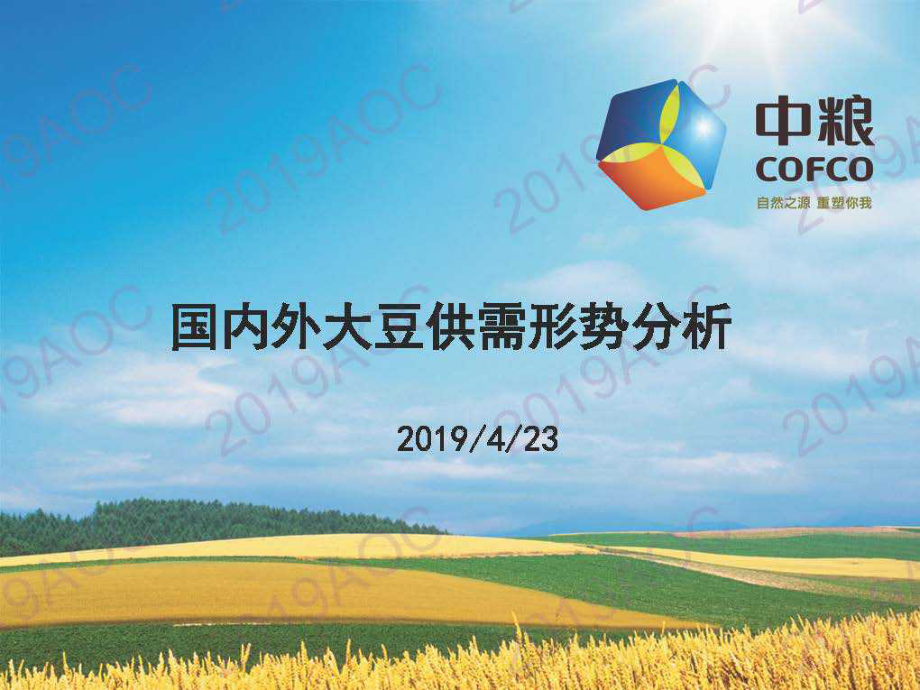 2019中国农业展望大会：大豆展望1_国内外大豆供需形势分析_陈刚-2019.4-32页.pdf_第1页