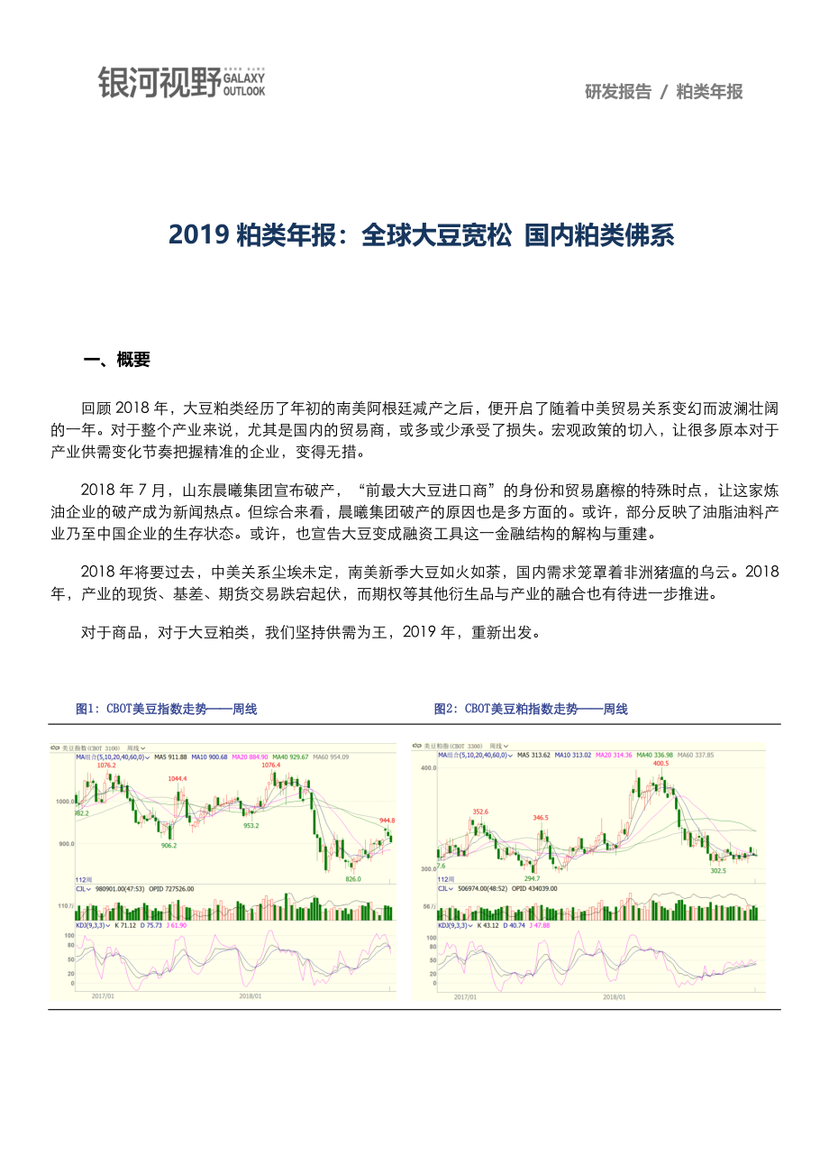 银河期货-2019粕类年报：全球大豆宽松国内粕类佛系（农产品）-2019.1-14页.pdf_第1页