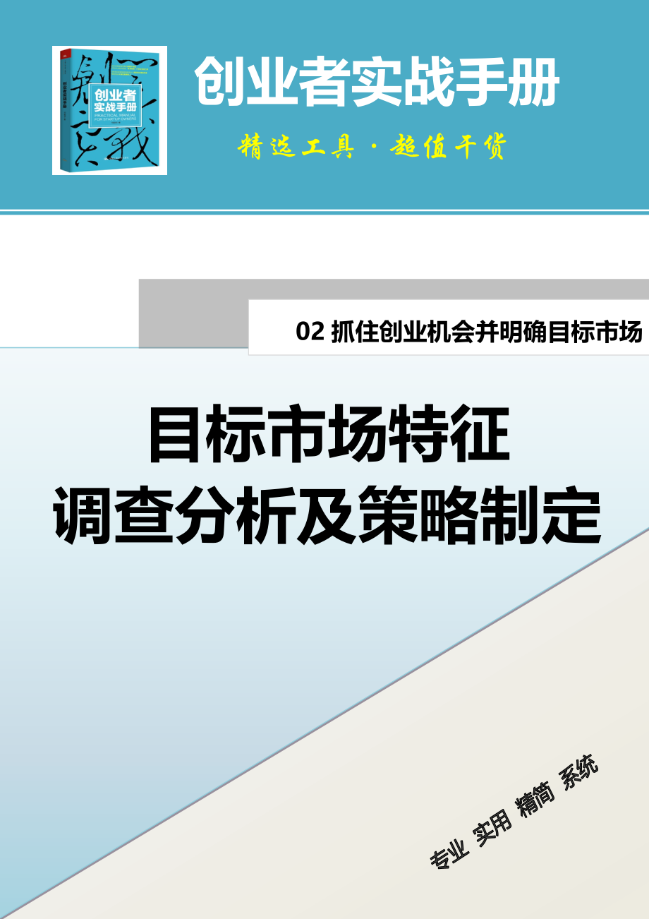 目标市场特征调查分析及策略制定.doc_第1页