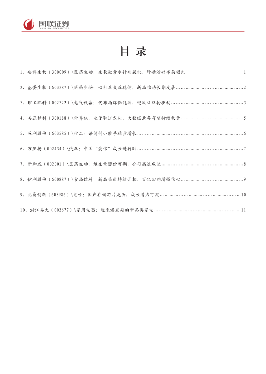 年度策略报告：2019年下半年十大金股-20190630-国联证券-12页.pdf_第1页